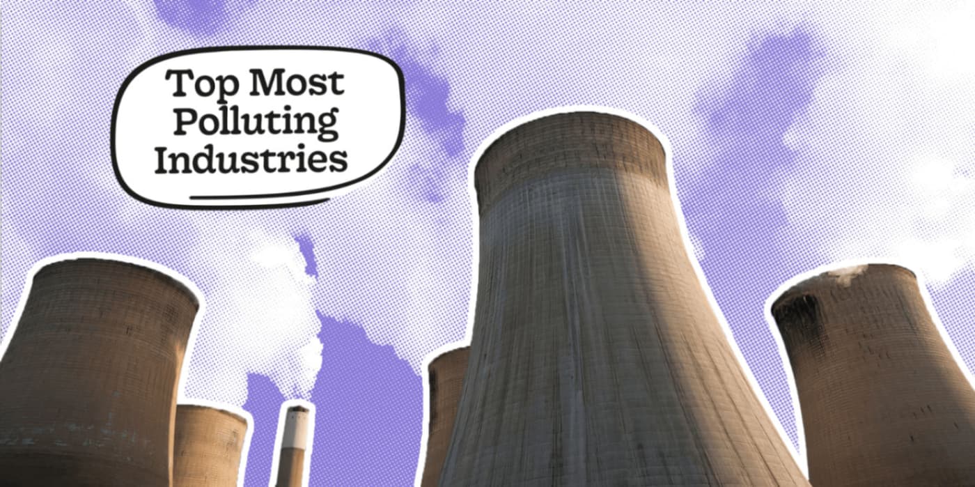 Most Polluting Industries in 2024 Revealed